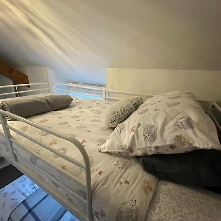 Llanuwchllyn Cosy 2 Bedroom Cottage מראה חיצוני תמונה